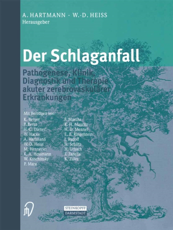 Der Schlaganfall