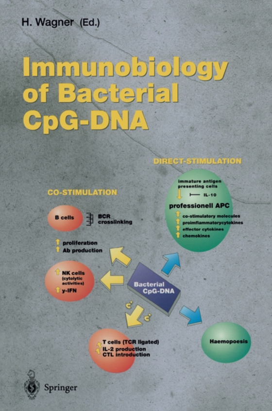 Immunobiology of Bacterial CpG-DNA (e-bog) af -