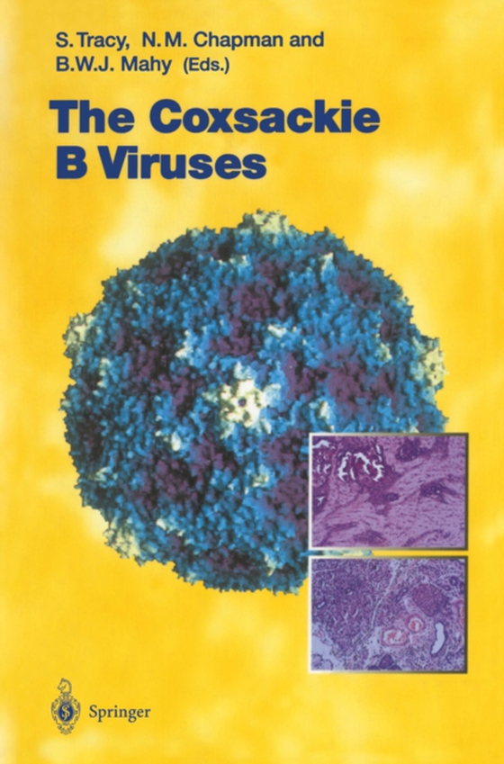 Coxsackie B Viruses (e-bog) af -