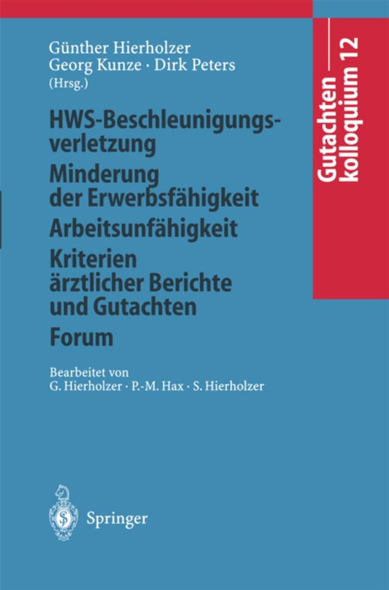 Gutachtenkolloquium 12 (e-bog) af -