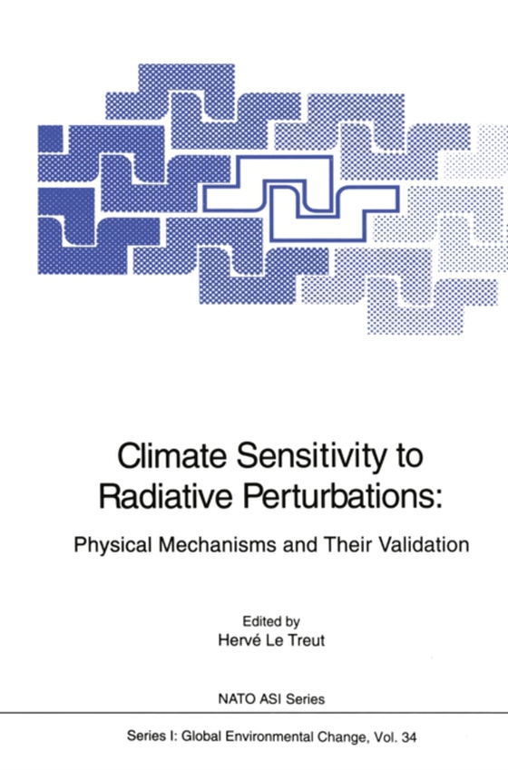 Climate Sensitivity to Radiative Perturbations (e-bog) af -