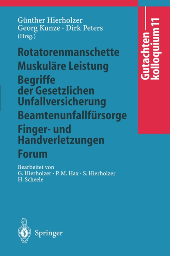 Gutachtenkolloquium 11 (e-bog) af -