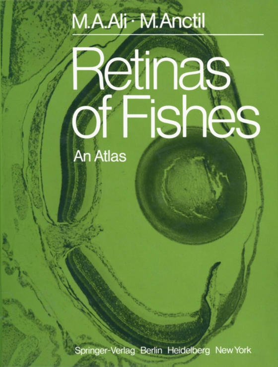 Retinas of Fishes (e-bog) af Anctil, Michel