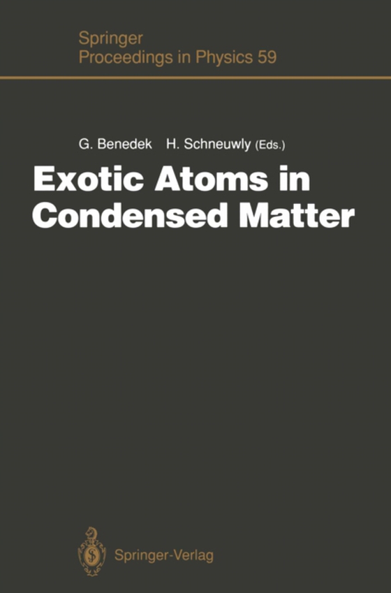 Exotic Atoms in Condensed Matter (e-bog) af -