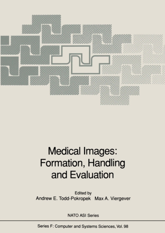 Medical Images: Formation, Handling and Evaluation (e-bog) af -