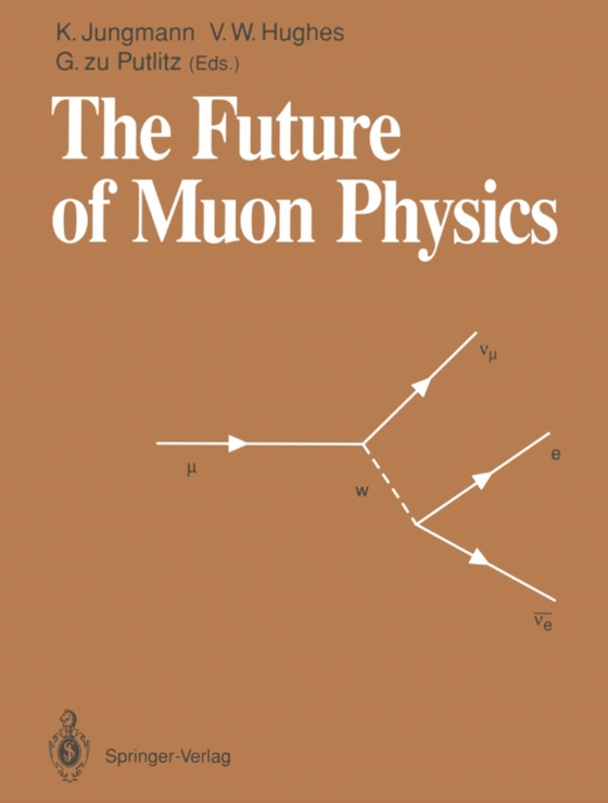 Future of Muon Physics (e-bog) af -