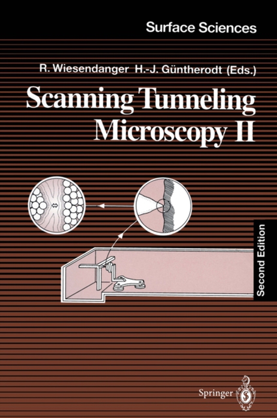 Scanning Tunneling Microscopy II (e-bog) af -