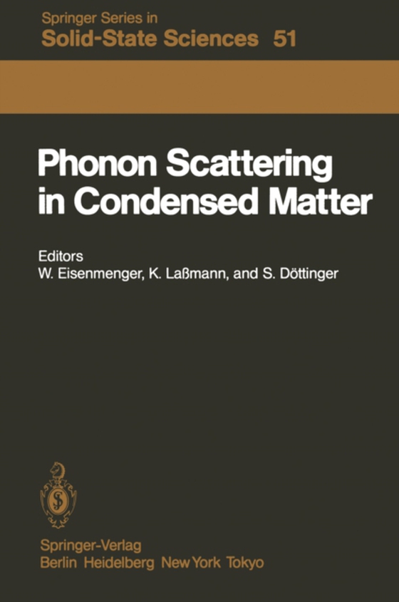 Phonon Scattering in Condensed Matter (e-bog) af -