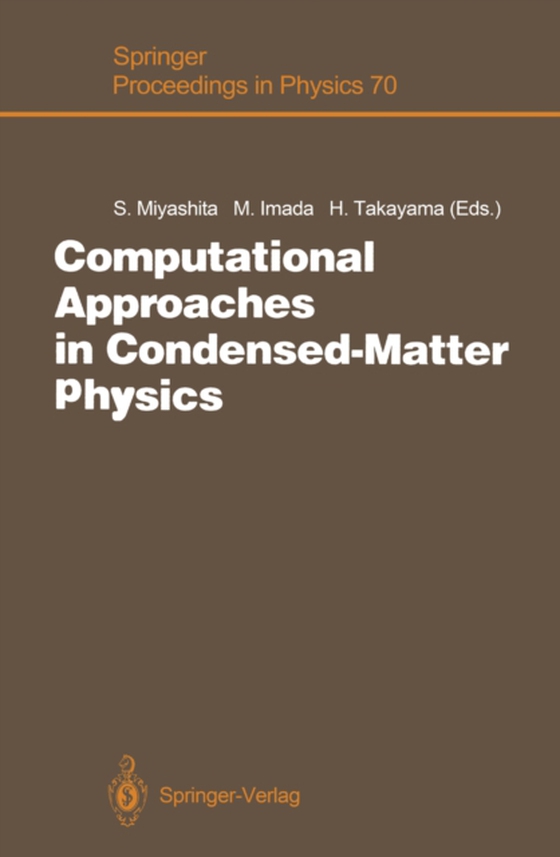 Computational Approaches in Condensed-Matter Physics (e-bog) af -