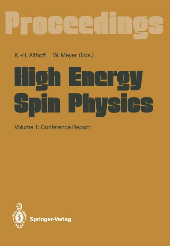 High Energy Spin Physics (e-bog) af -