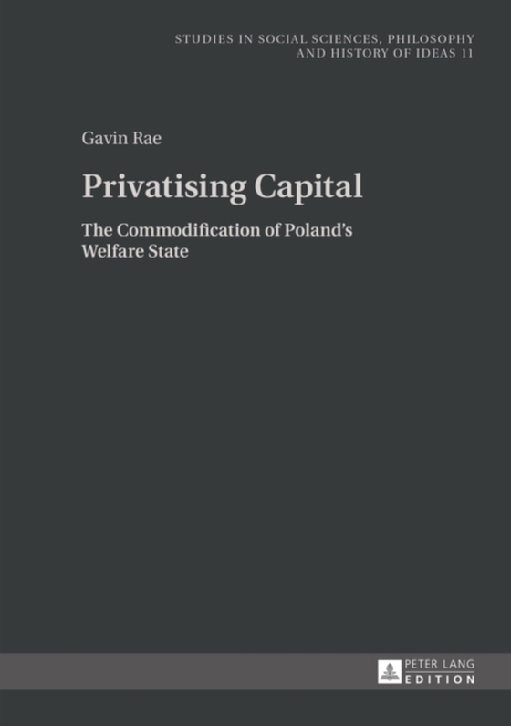 Privatising Capital (e-bog) af Gavin Rae, Rae