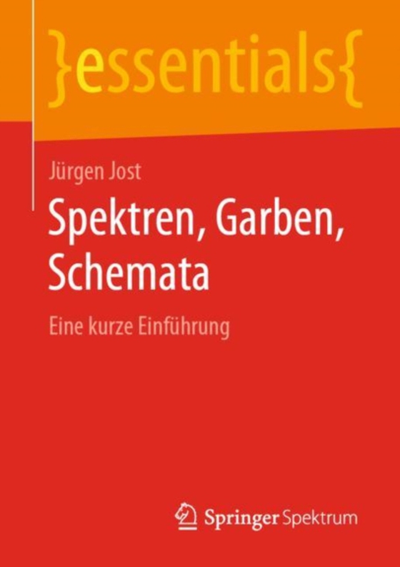 Spektren, Garben, Schemata (e-bog) af Jost, Jurgen