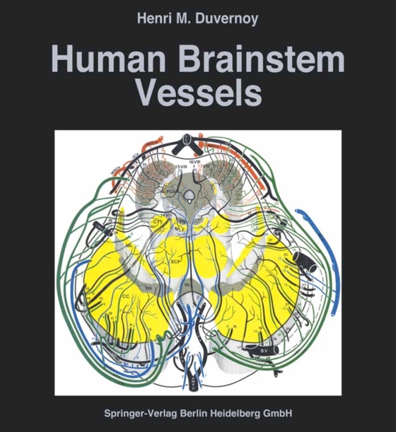 Human Brainstem Vessels (e-bog) af Duvernoy, Henri M.