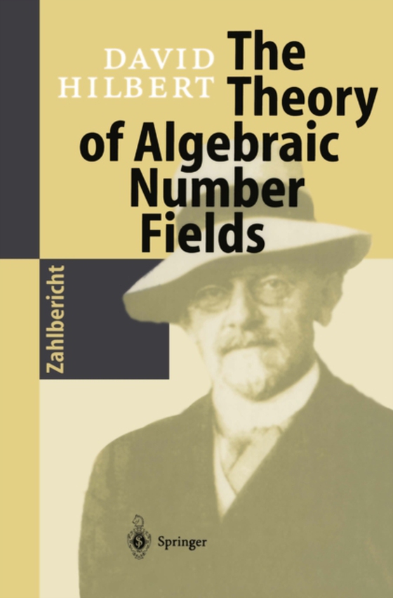 Theory of Algebraic Number Fields (e-bog) af Hilbert, David