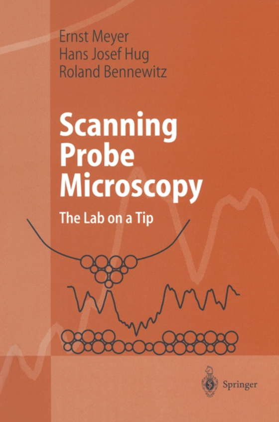 Scanning Probe Microscopy (e-bog) af Bennewitz, Roland