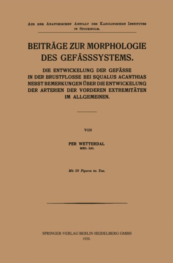 Beiträge zur Morphologie des Gefässsystems