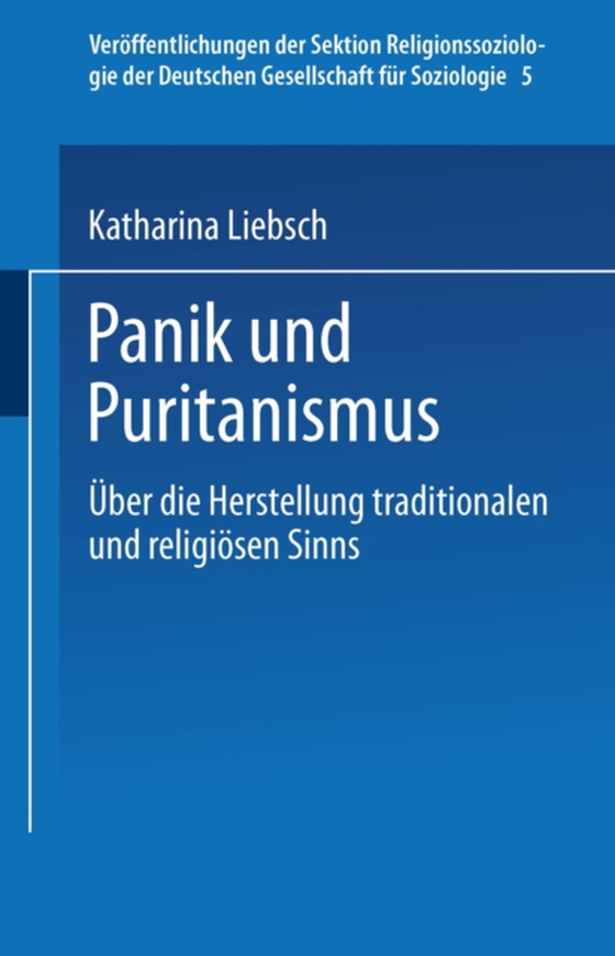 Panik und Puritanismus (e-bog) af Liebsch, Katharina