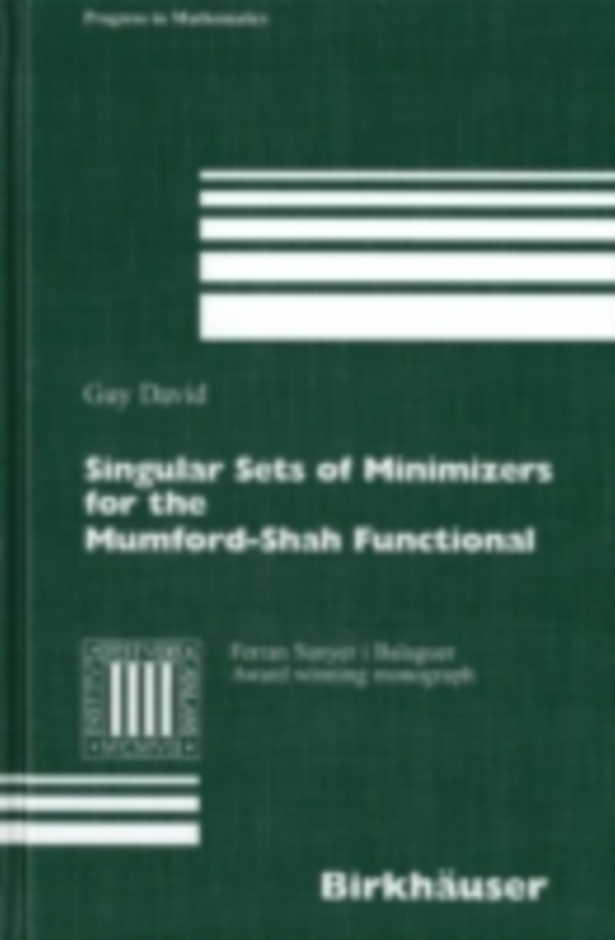 Singular Sets of Minimizers for the Mumford-Shah Functional (e-bog) af David, Guy