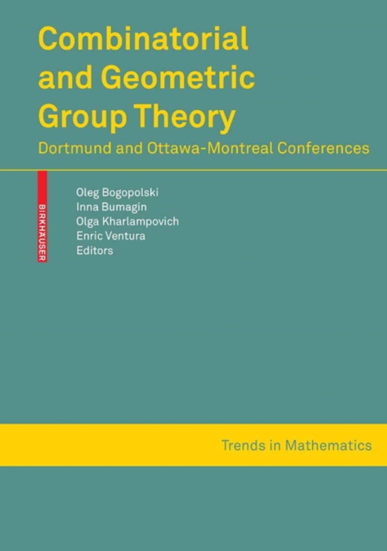 Combinatorial and Geometric Group Theory (e-bog) af -