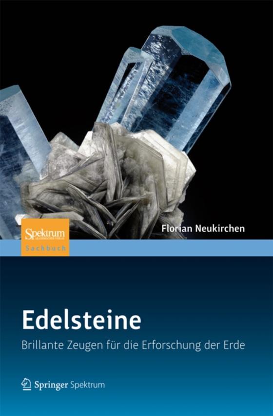 Edelsteine (e-bog) af Neukirchen, Florian