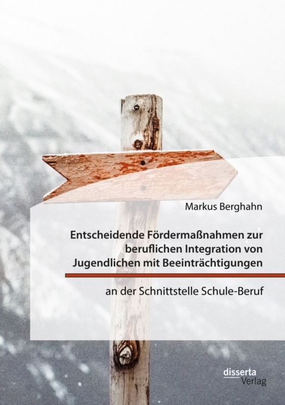 Entscheidende Fördermaßnahmen zur beruflichen Integration von Jugendlichen mit Beeinträchtigungen an der Schnittstelle Schule-Beruf (e-bog) af Berghahn, Markus