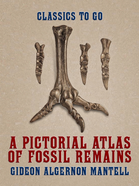 Pictorial Atlas of Fossil Remains (e-bog) af Mantell, Gideon Algernon