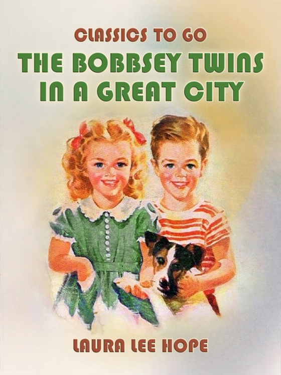 Bobbsey Twins In A Great City