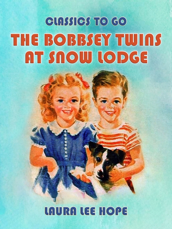 Bobbsey Twins At Snow Lodge