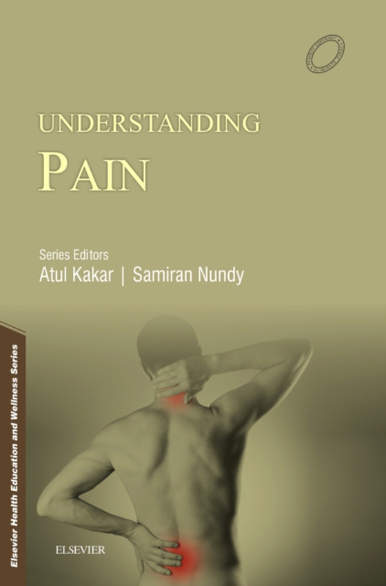 Understanding Pain - E-book (e-bog) af -