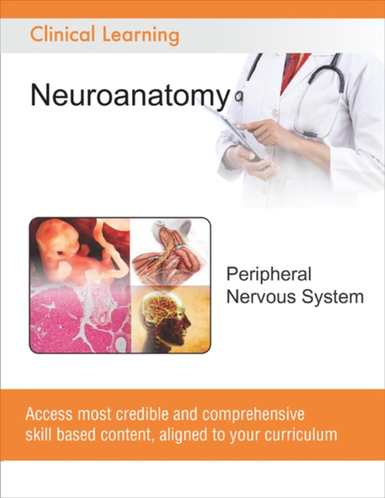 Peripheral Nervous System