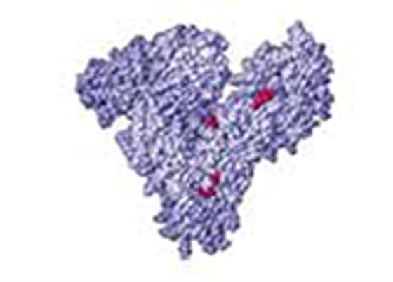 Estimation of Serum Albumin (e-bog) af Kaushik, Smita