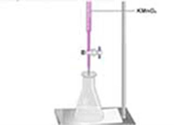 Estimation of Serum Calcium (e-bog) af Kaushik, Smita