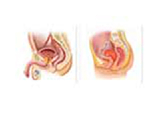 Estimation of Urinary Proteins