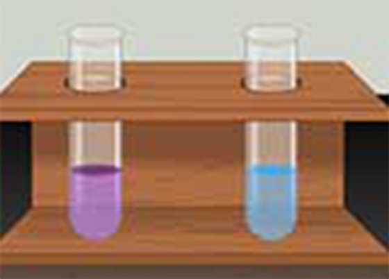 General Tests of Proteins and Precipitation Reactions