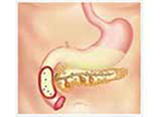 Pancreatic Function Test Part 1