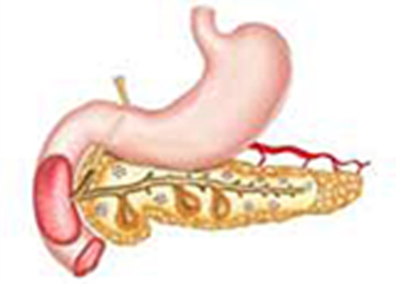 Pancreatic Function Test Part 2