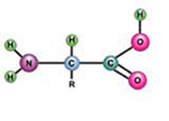 Tests for R group of Proteins and Determination of their Isoelectric pH (e-bog) af Mishra, Tarun Kumar