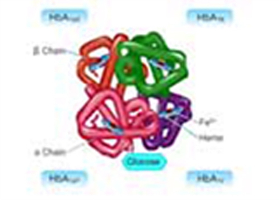 To Study about Glycated Haemoglobin and its Estimation (e-bog) af Kaushik, Smita