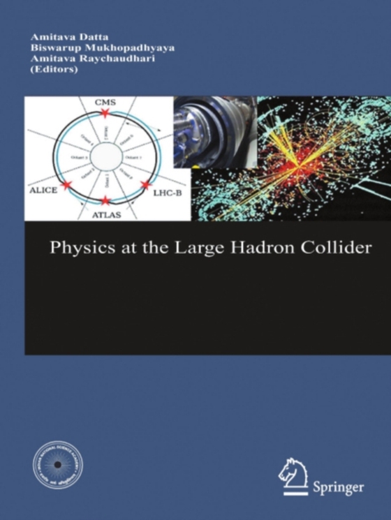 Physics at the Large Hadron Collider (e-bog) af -