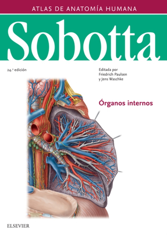 Sobotta. Atlas de anatomía humana vol 2