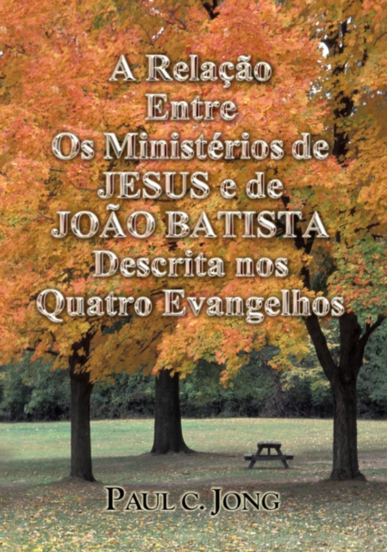 Relacao Entre Os Ministerios de JESUS e de JOAO BATISTA Descrita nos Quatro Evangelhos (e-bog) af Jong, Paul C.