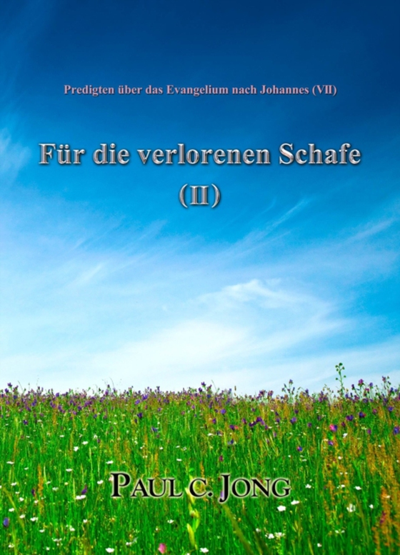 Predigten uber das Evangelium nach Johannes (VII) - Fur die verlorenen Schafe (II)