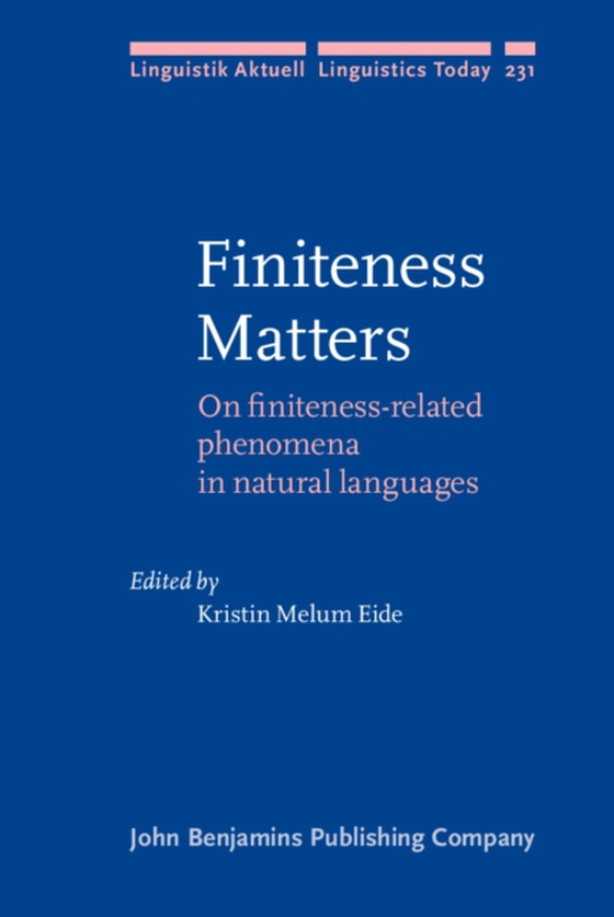 Finiteness Matters (e-bog) af -