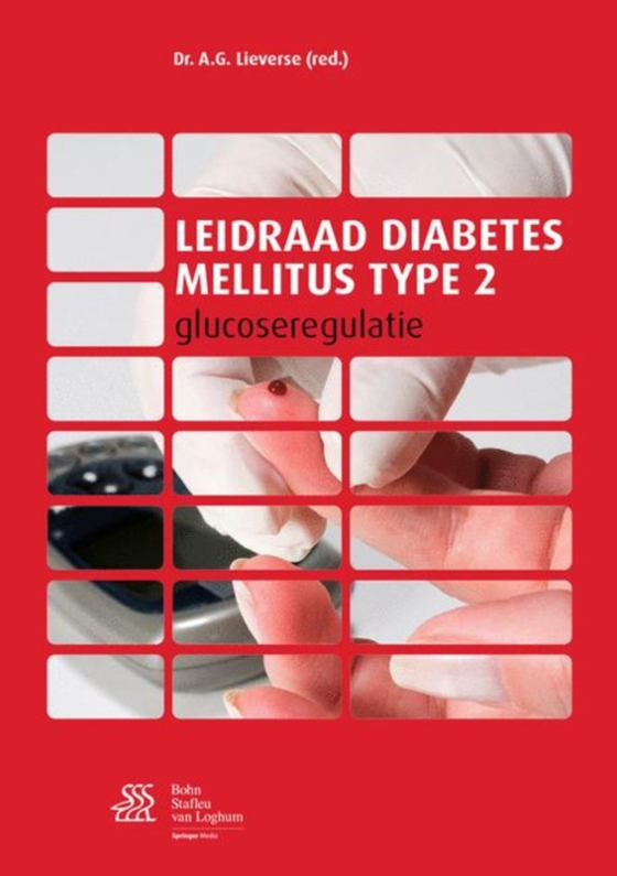 Leidraad diabetes mellitus type 2 (e-bog) af -