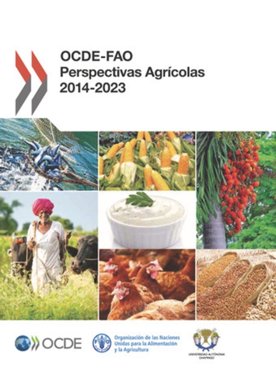 OCDE-FAO Perspectivas Agrícolas 2014 (e-bog) af Food and Agriculture Organization of the United Nations