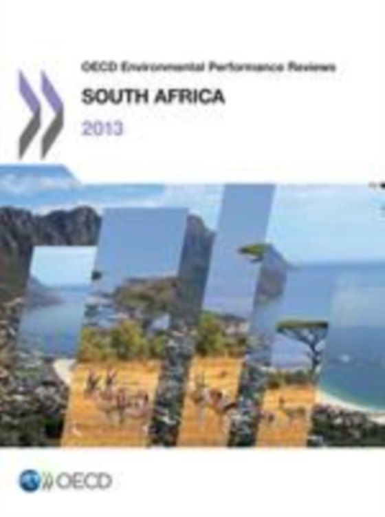 OECD Environmental Performance Reviews: South Africa 2013 (e-bog) af OECD