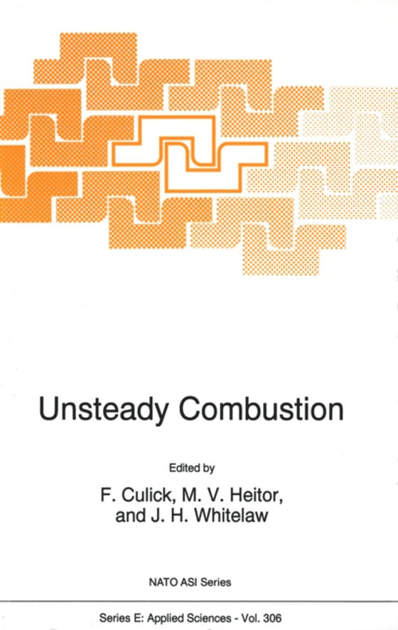 Unsteady Combustion (e-bog) af -