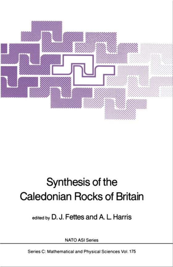 Synthesis of the Caledonian Rocks of Britain (e-bog) af -