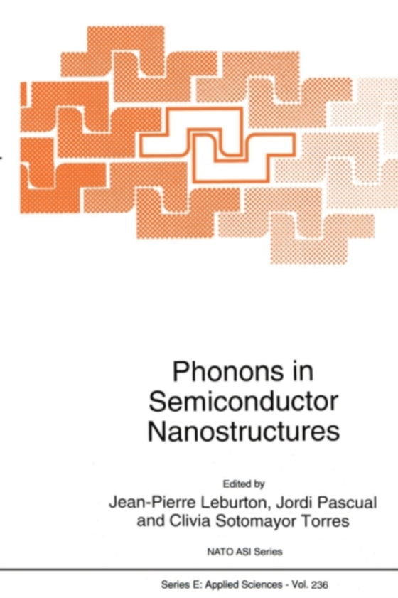 Phonons in Semiconductor Nanostructures (e-bog) af -