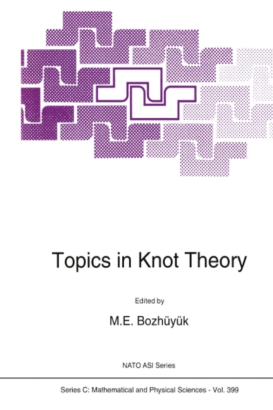 Topics in Knot Theory (e-bog) af -